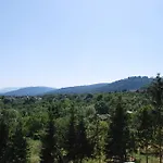 D'hotes Les Vignes サン・ジャン・サヴェルヌ