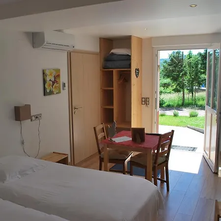 D'hotes Les Vignes Bed & Breakfast Saint-Jean-Saverne