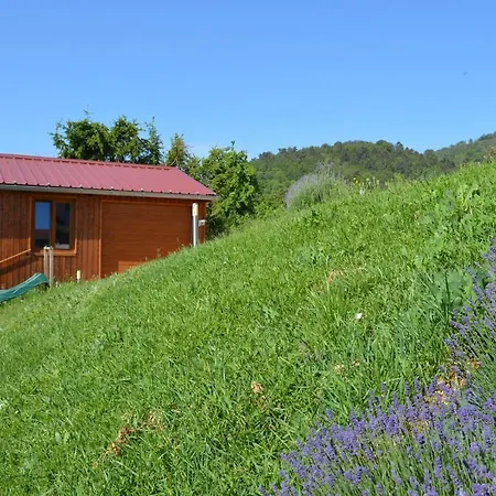 D'hotes Les Vignes Bed & Breakfast