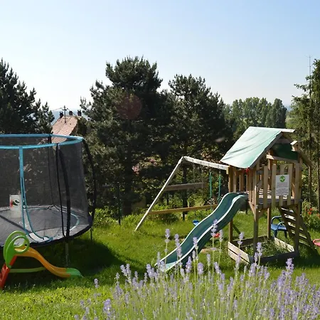 D'hotes Les Vignes Saint-Jean-Saverne