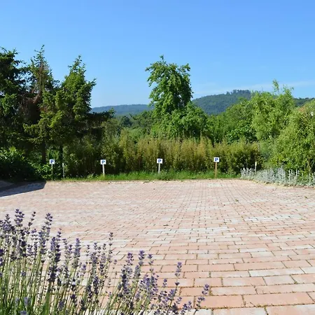 D'hotes Les Vignes Saint-Jean-Saverne